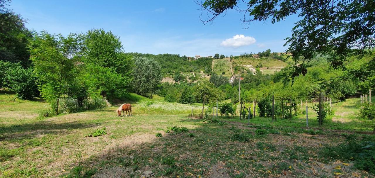 Agriturismo Il Burlino Apartments Lerma Exterior foto